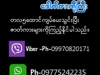 Asian aunty moans as she gets anal pounded by black cock